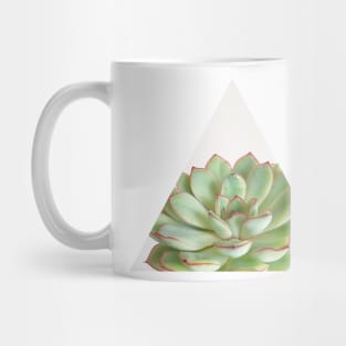Green Succulent Mug